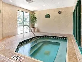 Hotel Holiday Inn - Tampa North By Ihg