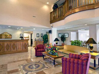 Hotel Holiday Inn - Tampa North By Ihg