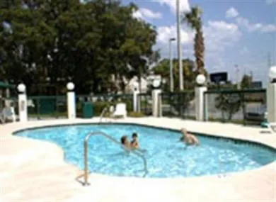Hotel Holiday Inn - Tampa North By Ihg
